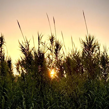Atypique Ancien Hangar A Bateau