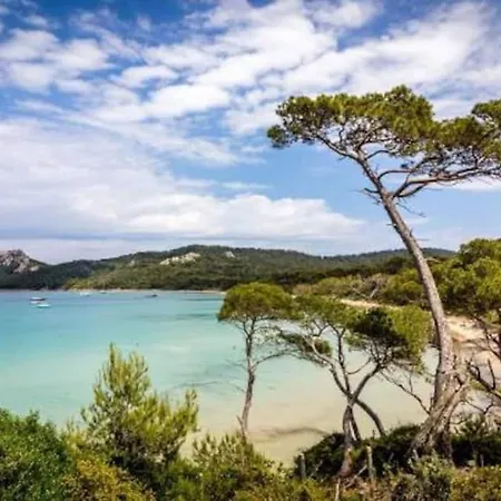 Atypique Ancien Hangar A Bateau شقة Hyères