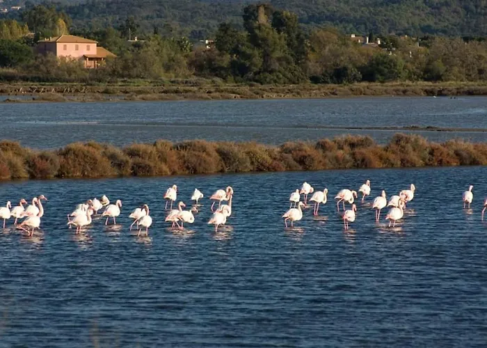 شقة Atypique Ancien Hangar A Bateau